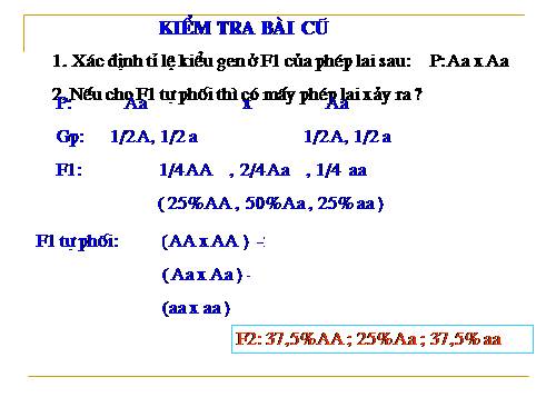 Bài 20. Cấu trúc di truyền của quần thể