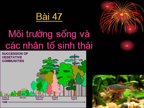 Bài 47. Môi trường và các nhân tố sinh thái