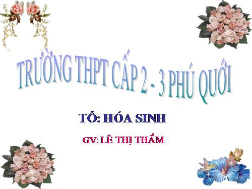 Bài 43. Sự phát sinh sự sống trên Trái Đất