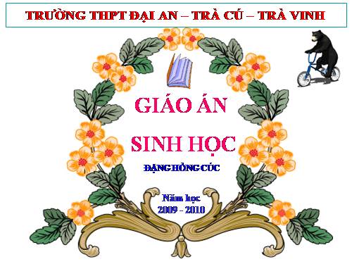 Bài 42. Nguồn gốc chung và chiều hướng tiến hóa của sinh giới