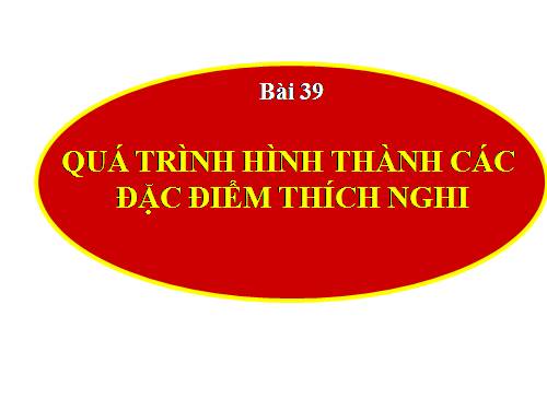 Bài 39. Quá trình hình thành các đặc điểm thích nghi