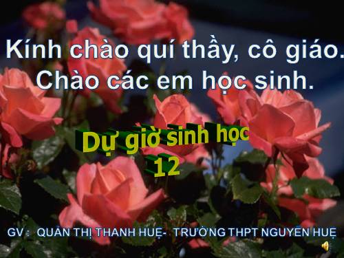 Bài 24. Tạo giống bằng công nghệ tế bào