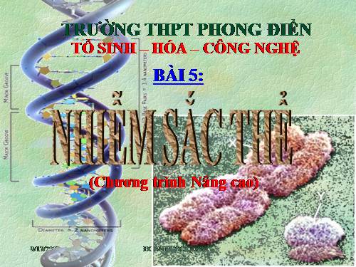 Bài 5. Nhiễm sắc thể