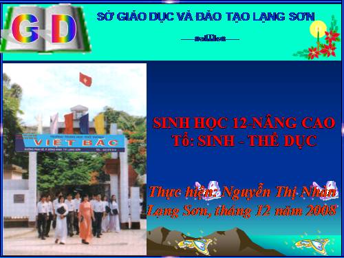 Bài 65. Ôn tập phần sáu (Tiến hoá) và phần bảy (Sinh thái học)