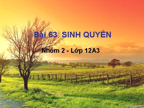 Bài 63. Sinh quyển