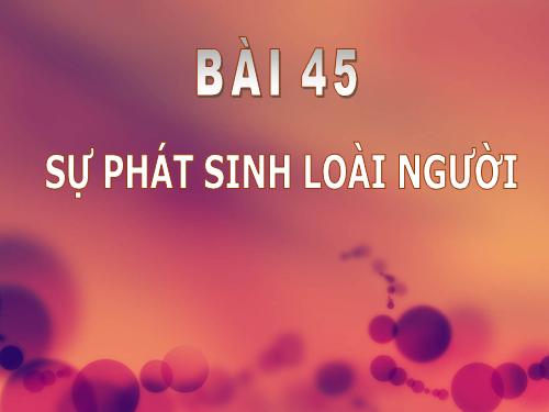 Bài 45. Sự phát sinh loài người