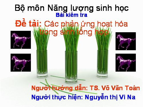 Bài 62. Dòng năng lượng trong hệ sinh thái