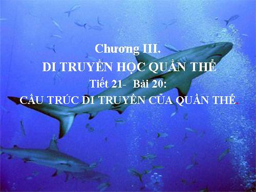 Bài 20. Cấu trúc di truyền của quần thể