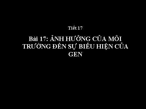 Bài 17. Ảnh hưởng của môi trường đến sự biểu hiện của gen