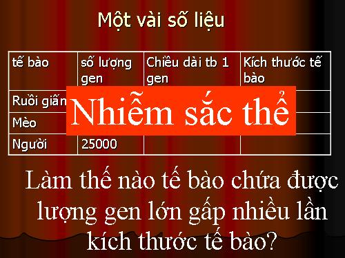 Bài 5. Nhiễm sắc thể