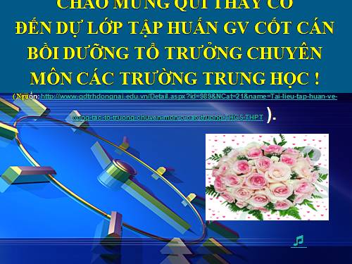 GD HN: ST TLTH tổ trưởng CM THPT