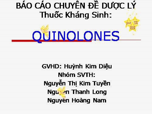 Thuốc kháng sinh Quinolones