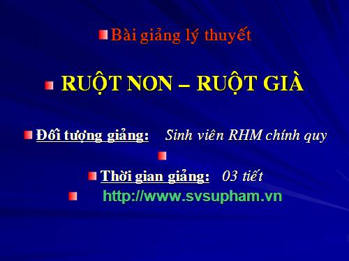 Sinh học: STGT BG Lý thuyết về ruột